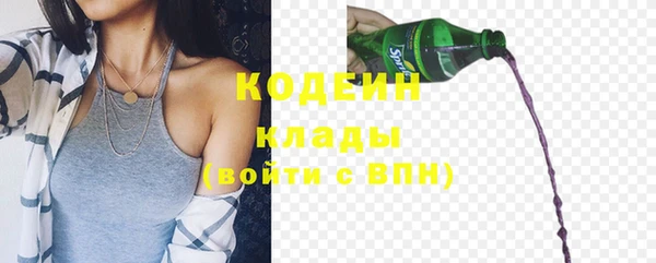 мдпв Верхний Тагил