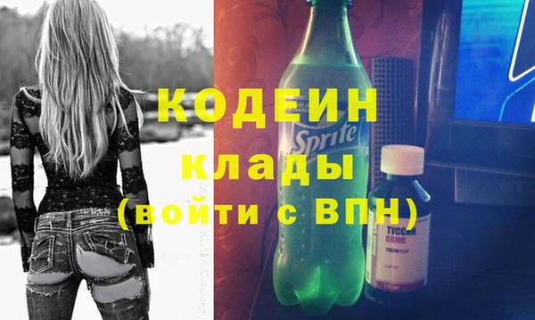 мдпв Верхний Тагил