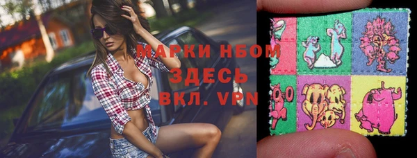 мдпв Верхний Тагил