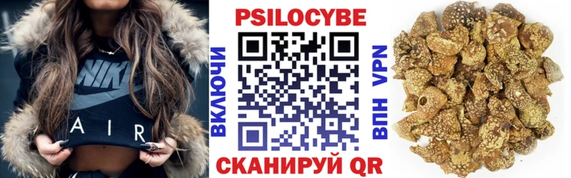 дарнет шоп  Кирс  Галлюциногенные грибы ЛСД 